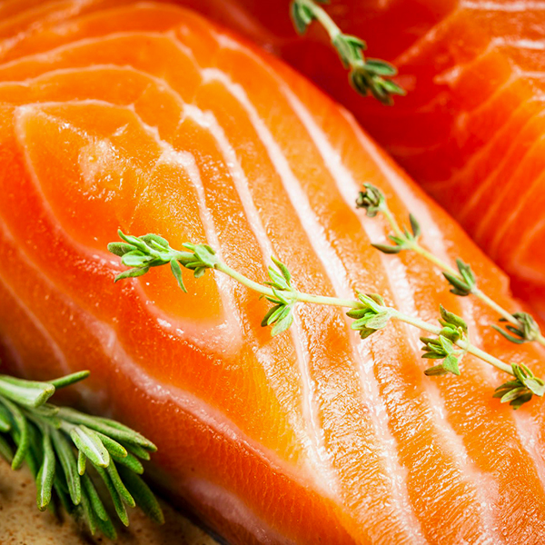 Salmon-Filler-9-6x6-1.jpg